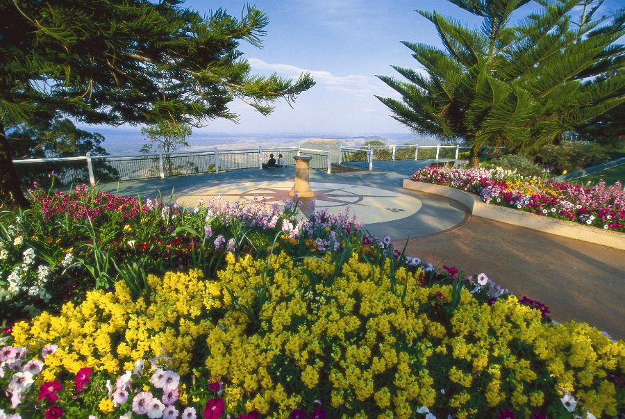 Altitude Motel Toowoomba Quality Accommodation Book Direct Save